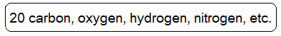 carbon, oxygen, hydrogen, nitrogen, etc